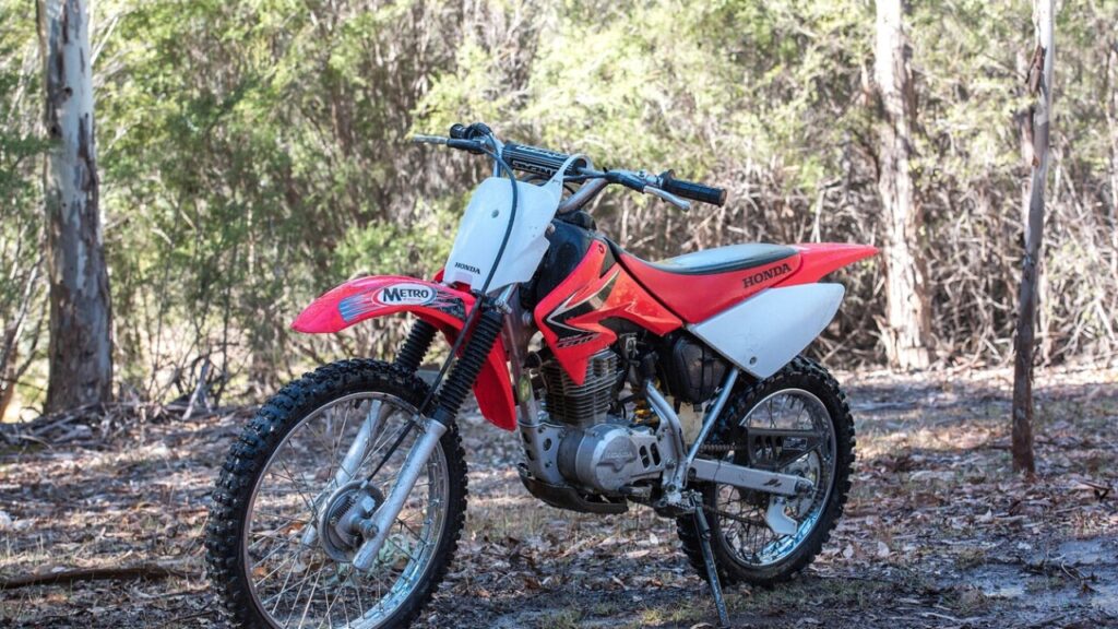 Télécharger le formulaire 100F Luxembourg en PDF gratuit