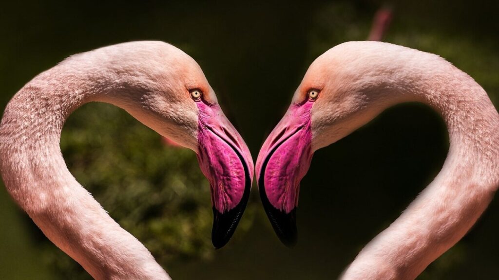 Formulaire 2044 EB - Télécharger le PDF officiel pour déclaration foncière