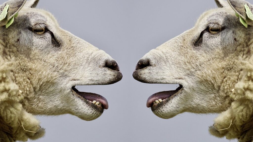 Formulaire de contestation amende PDF gratuit à télécharger