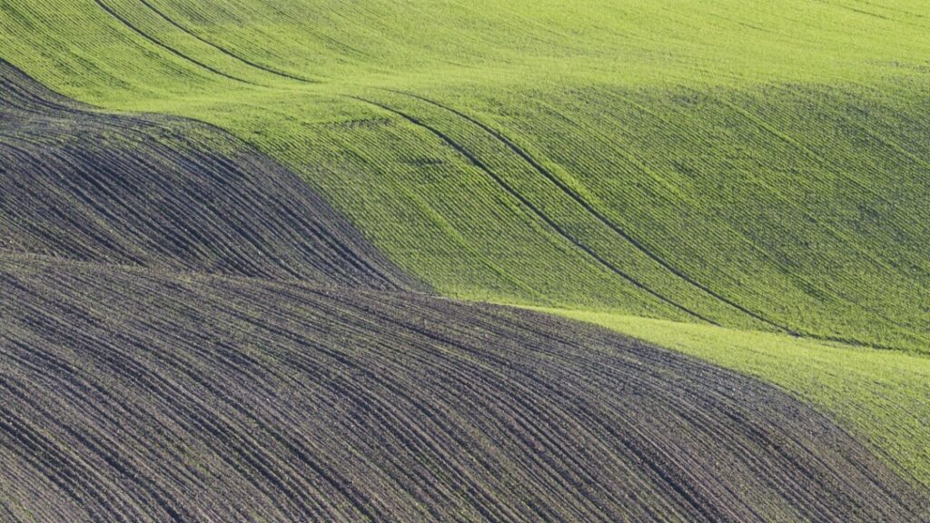 Formulaire apostille à télécharger en PDF gratuit
