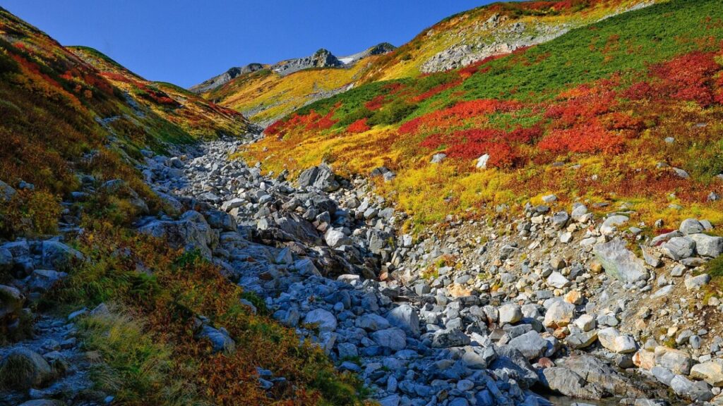 Télécharger le formulaire entrée japon en PDF gratuit