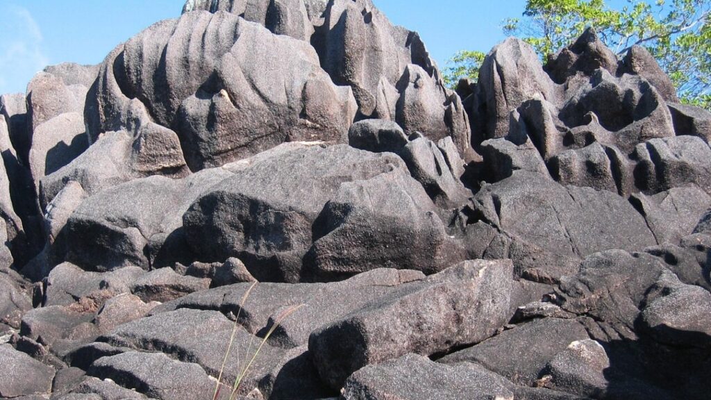 Télécharger le formulaire entrée seychelles en PDF gratuit