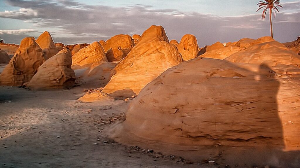 Télécharger le formulaire visa tunisie pdf en téléchargement gratuit