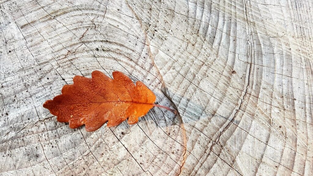 Formulaire congés annuel SNCF en PDF à télécharger gratuitement
