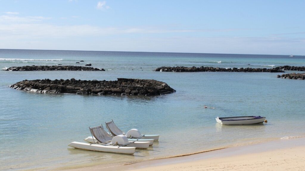 Télécharger le formulaire mauritius all in one travel form en PDF gratuit