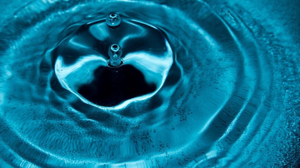 Téléchargez le formulaire pco en PDF gratuit