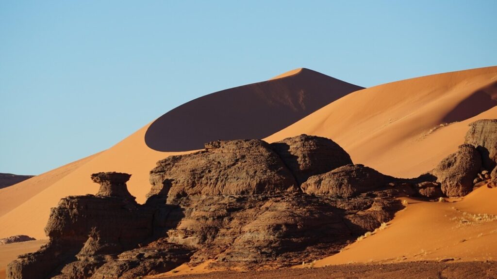 Télécharger le formulaire s12 algérie en PDF gratuit