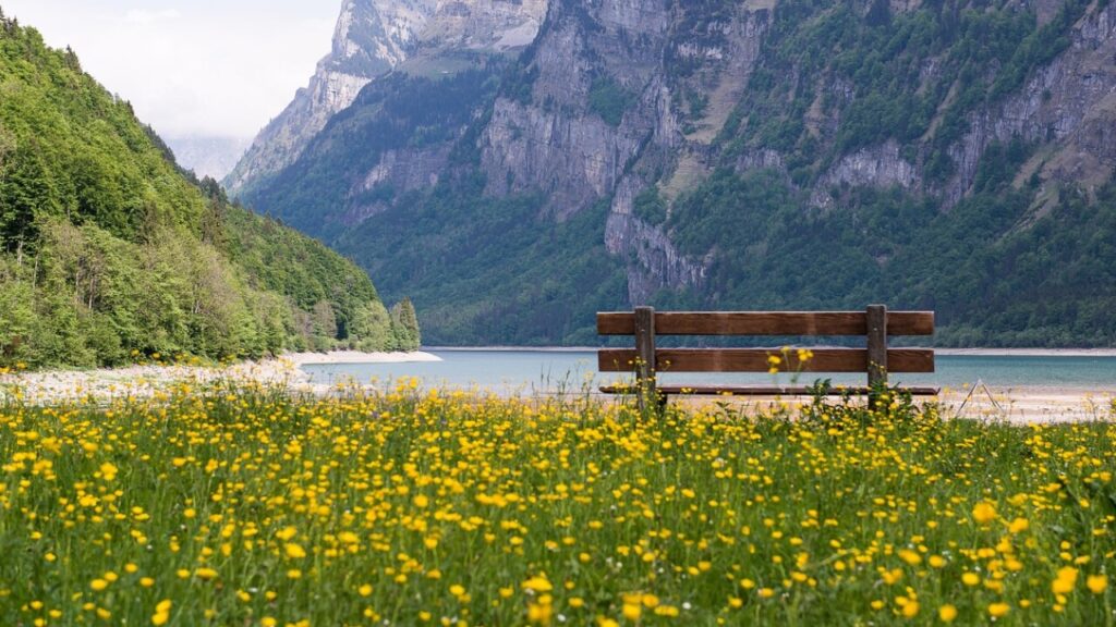 Formulaire U1 Suisse Genève en PDF à télécharger gratuitement